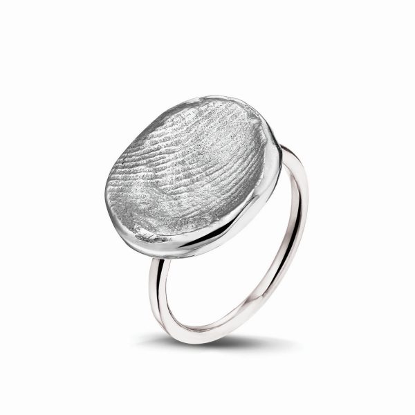 407 S Zilver - Afbeelding 2